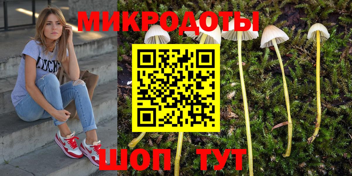 Псилоцибиновые грибы мухоморы  Вход с VPN  Северобайкальск 