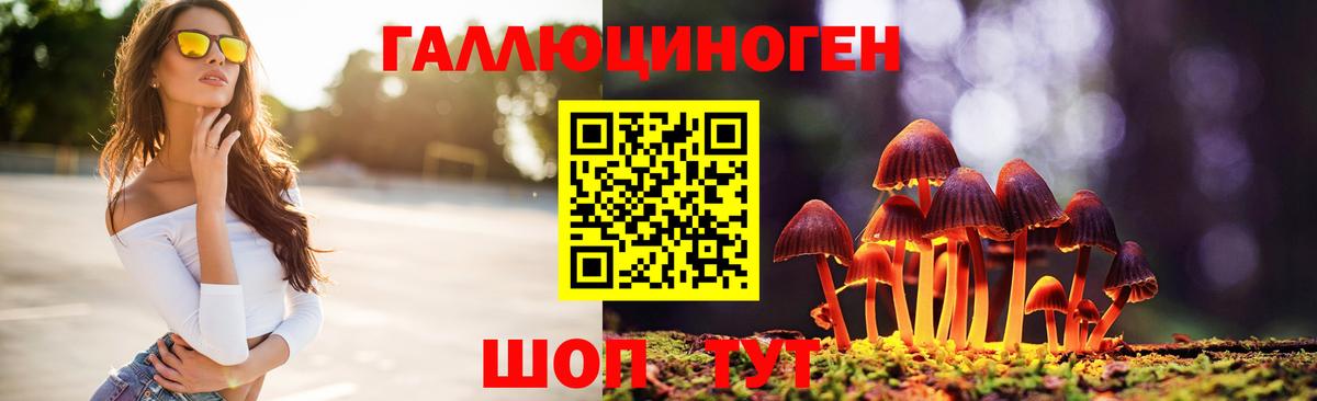 Галлюциногенные грибы Psilocybine cubensis Северобайкальск
